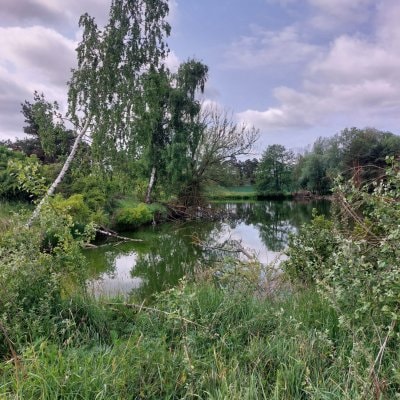 image-11916