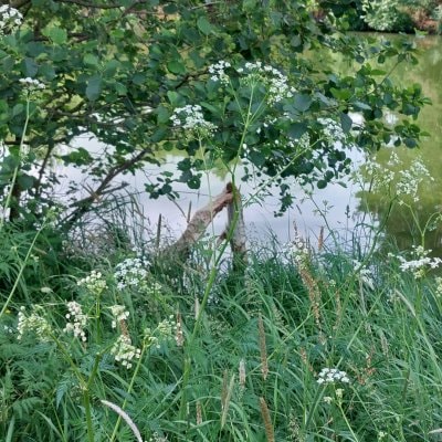 image-11923