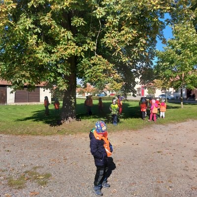 image-13981
