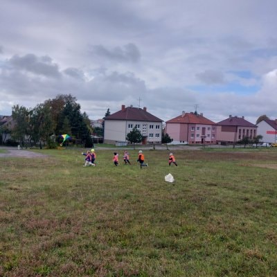 image-14771