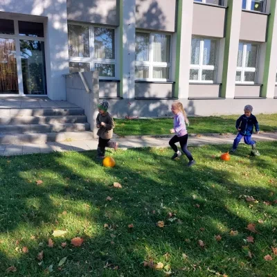 image-26941