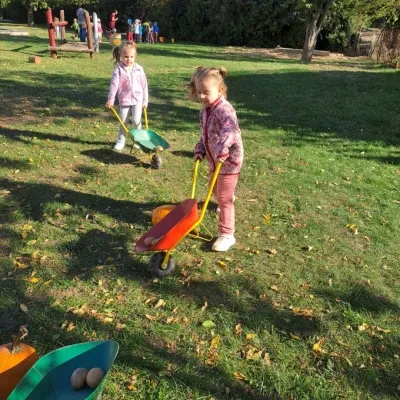 image-26972
