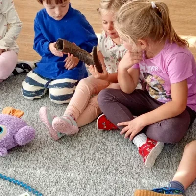 image-28701